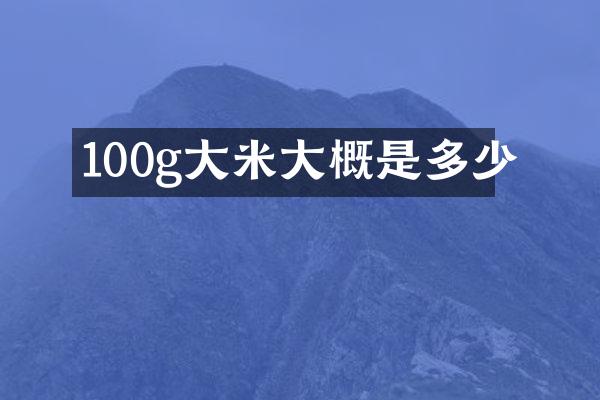 100g大米大概是多少