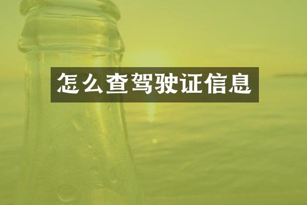 怎么查驾驶证信息
