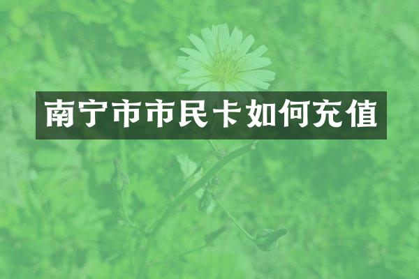 南宁市市民卡如何充值