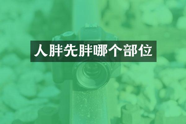 人胖先胖哪个部位