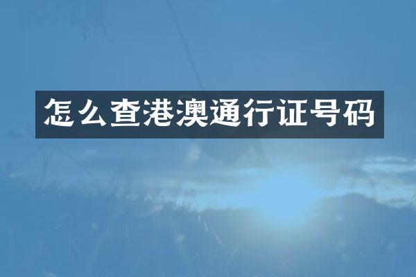 怎么查港澳通行证号码