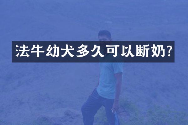 法牛幼犬多久可以断奶?