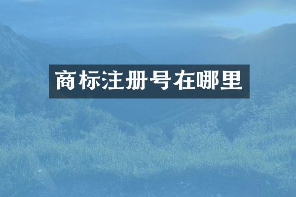 商标注册号在哪里