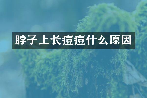 脖子上长痘痘什么原因