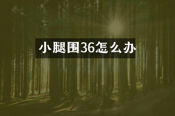 小腿围36怎么办