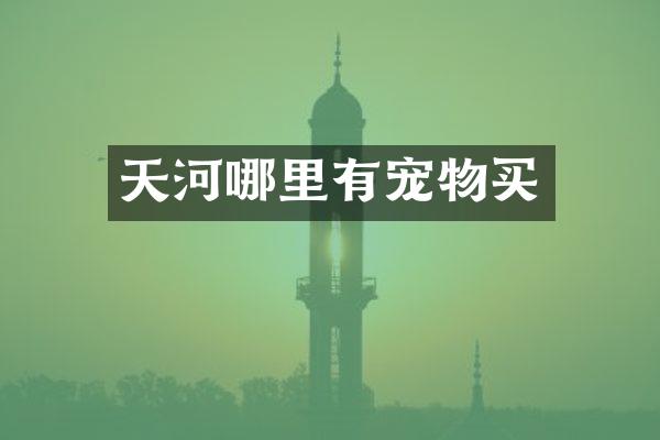 天河哪里有宠物买