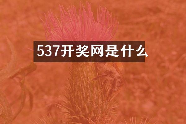 537开奖网是什么