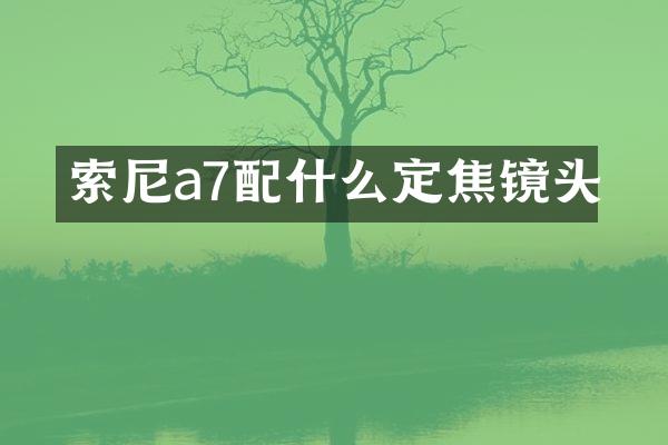 a7定焦镜头