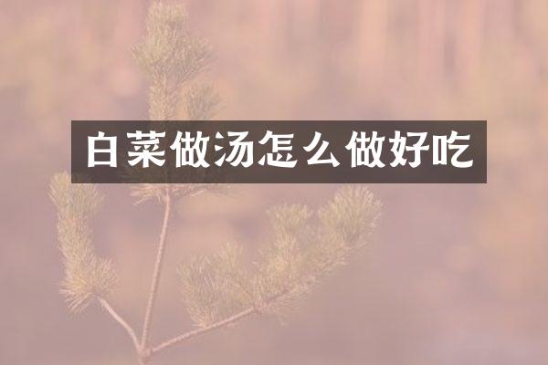 白菜做汤怎么做好吃