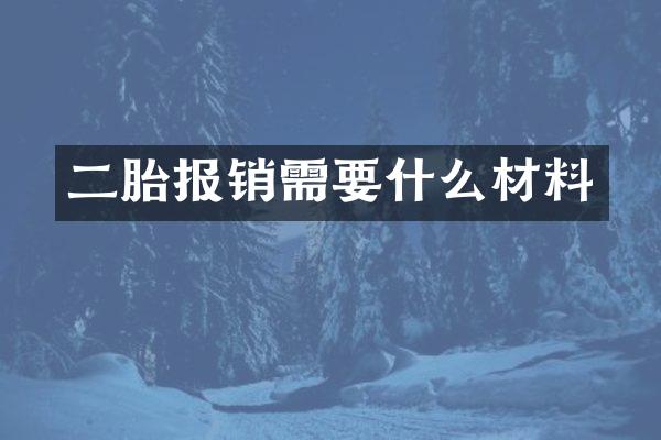 二胎报销需要什么材料