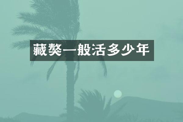 藏獒一般活多少年