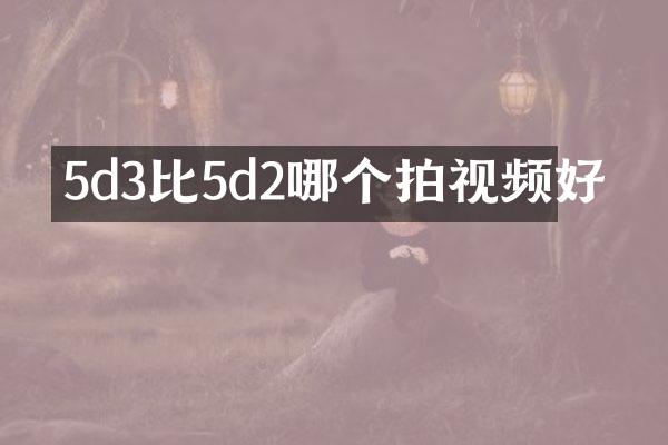 5d3比5d2哪个拍视频好