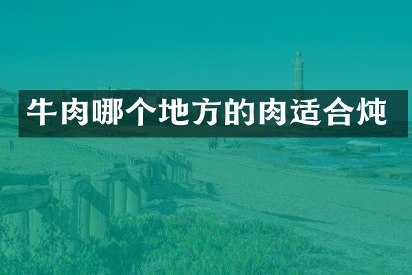 牛肉哪个地方的肉适合炖