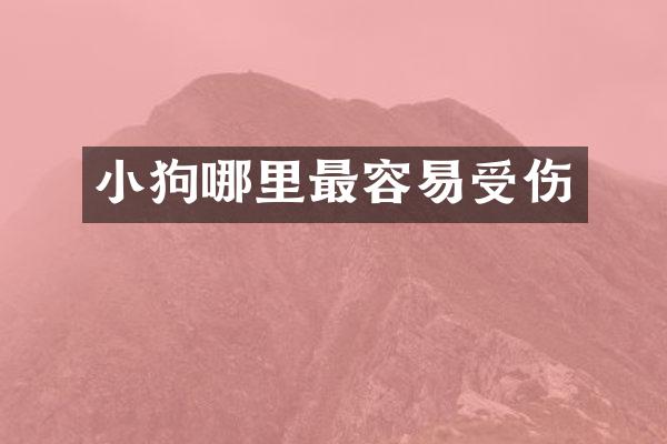 小狗哪里最容易受伤