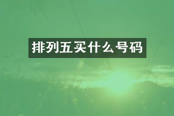 排列五买什么号码