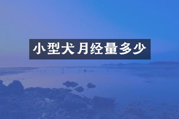 小型犬月经量多少