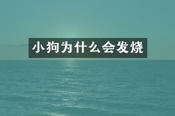 小狗为什么会发烧
