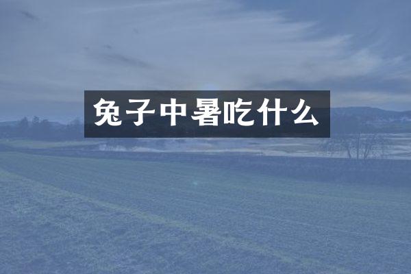 兔子中暑吃什么