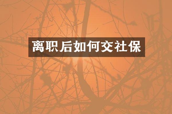 离职后如何交社保