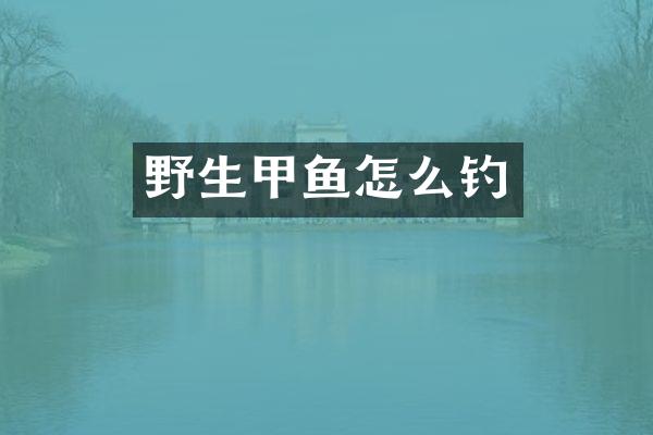 野生甲鱼怎么钓