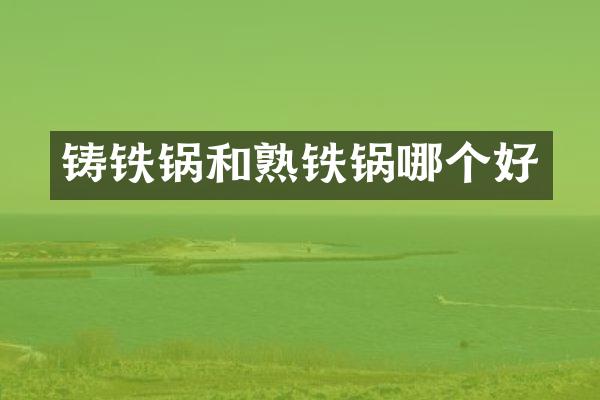 铸铁锅和熟铁锅哪个好