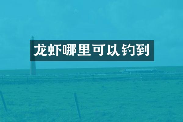 龙虾哪里可以钓到
