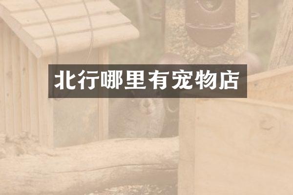 北行哪里有宠物店