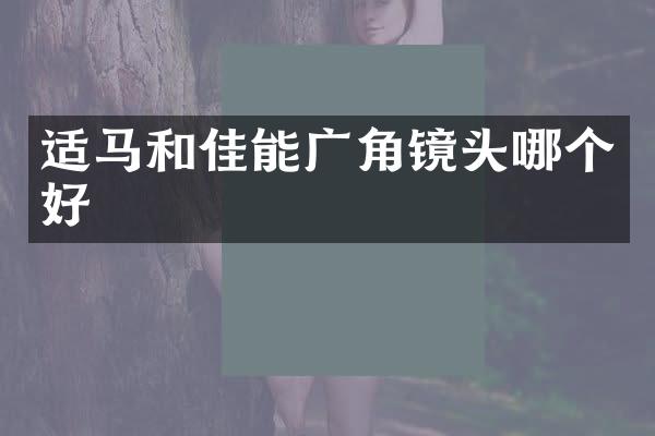 适马和佳能广角镜头哪个好