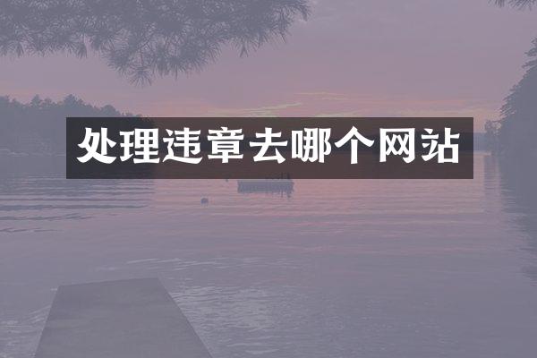 处理违章去哪个网站