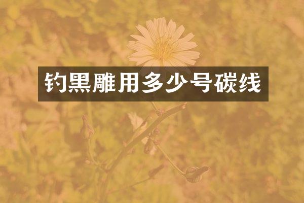 钓黑雕用多少号碳线