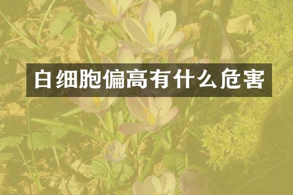 白细胞偏高有什么危害