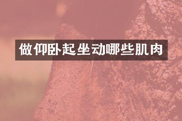 做仰卧起坐动哪些肌肉