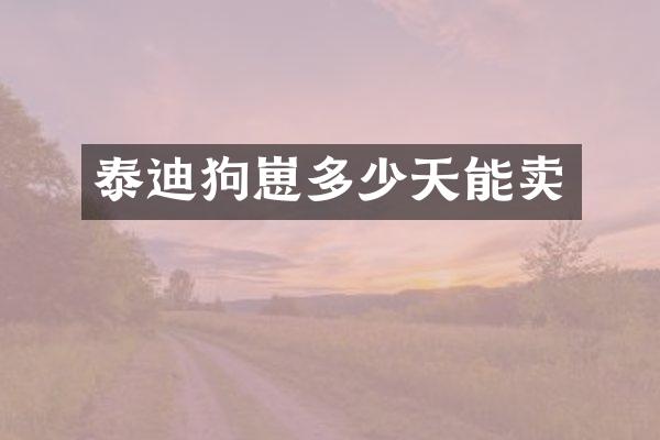 泰迪狗崽多少天能卖