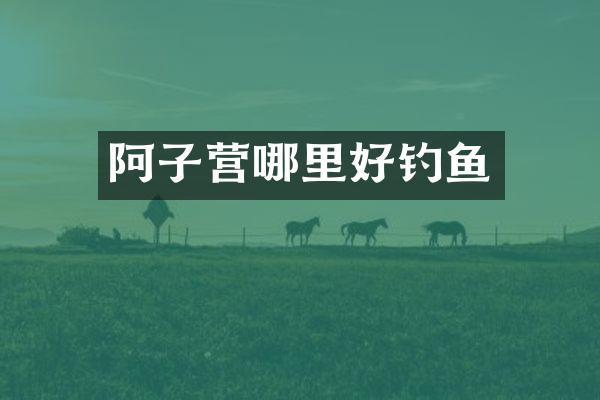 阿子营哪里好钓鱼