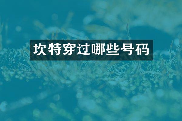 坎特穿过哪些号码