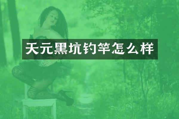 天元黑坑钓竿怎么样