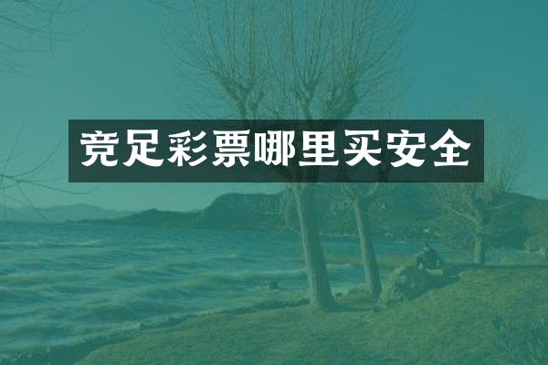 竞足彩票哪里买安全