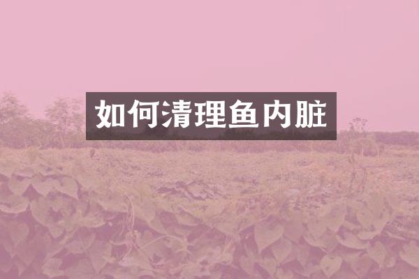 如何清理鱼内脏