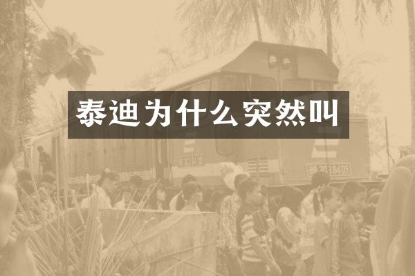 泰迪为什么突然叫