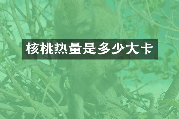 核桃热量是多少大卡