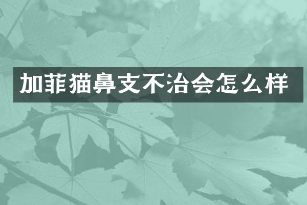 加菲猫鼻支不治会怎么样