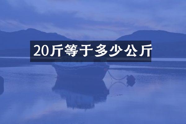 20斤等于多少公斤