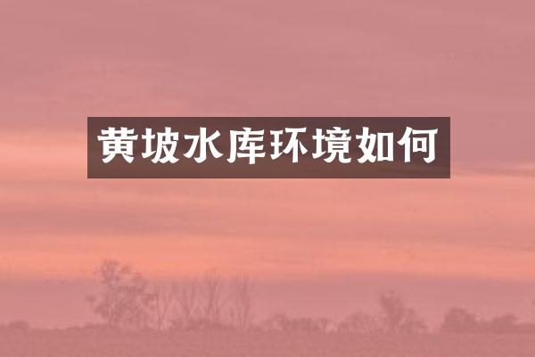 黄坡水库环境如何