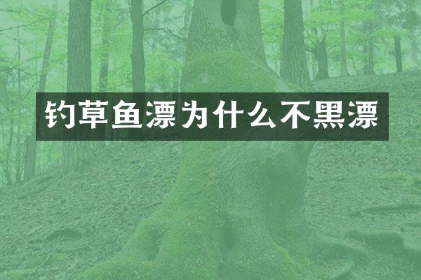 钓草鱼漂为什么不黑漂