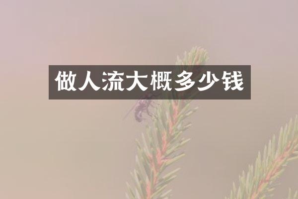 做人流大概多少钱