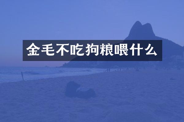 金毛不吃狗粮喂什么