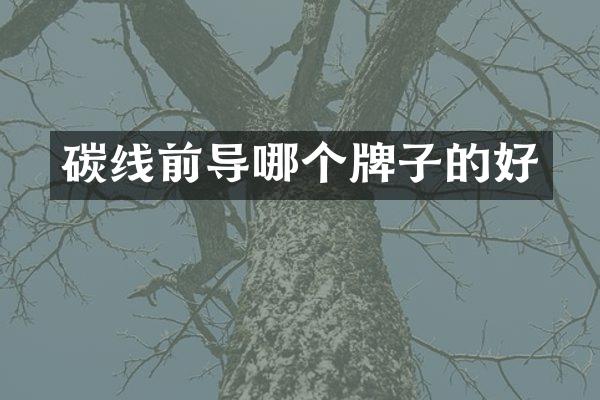 碳线前导哪个牌子的好