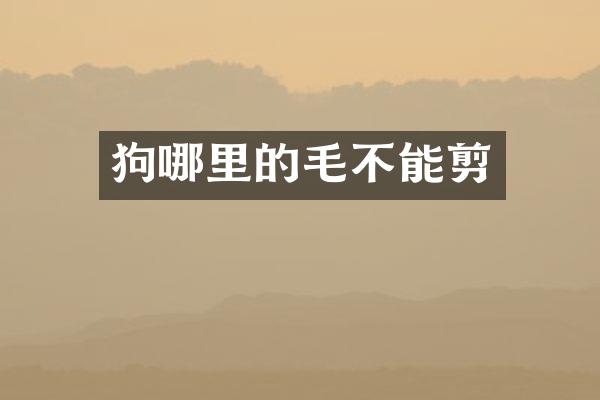 狗哪里的毛不能剪
