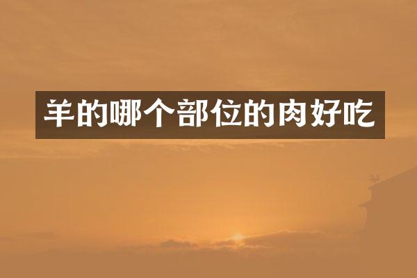 羊的哪个部位的肉好吃
