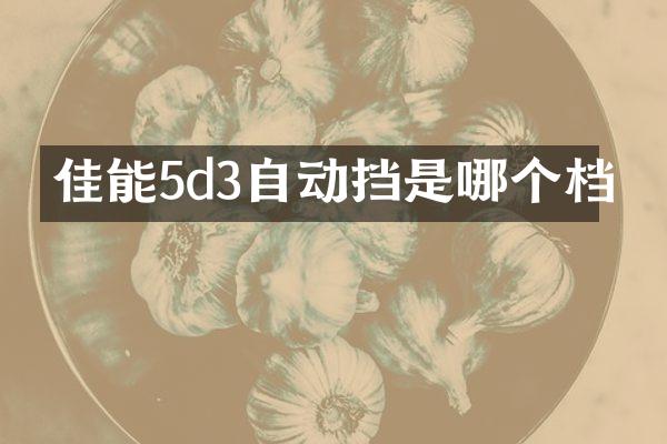 佳能5d3自动挡是哪个档